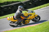 brands-hatch-photographs;brands-no-limits-trackday;cadwell-trackday-photographs;enduro-digital-images;event-digital-images;eventdigitalimages;no-limits-trackdays;peter-wileman-photography;racing-digital-images;trackday-digital-images;trackday-photos